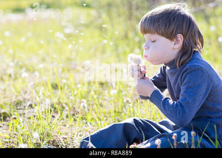 Bambino felice soffiando tarassaco all'aperto nel parco Foto Stock