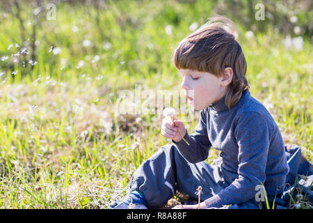 Bambino felice soffiando tarassaco all'aperto nel parco Foto Stock