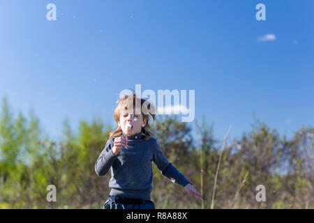 Bambino felice soffiando tarassaco all'aperto nel parco Foto Stock