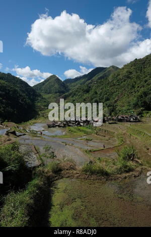 Vista dei terrazzi di riso e la cordigliera Banga-An il villaggio del popolo Ifugao, iscritto nella Lista del Patrimonio Mondiale dell'UNESCO situato nell'isola di Luzon nelle Filippine, Foto Stock