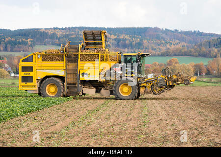 Un barbabietole semovente, vicino Oberweser, Superiore Valle Weser, Weser Uplands, Weserbergland, Hesse, Germania Foto Stock