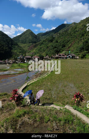 Vista dei terrazzi di riso e la cordigliera Banga-An il villaggio del popolo Ifugao, iscritto nella Lista del Patrimonio Mondiale dell'UNESCO situato nell'isola di Luzon nelle Filippine, Foto Stock