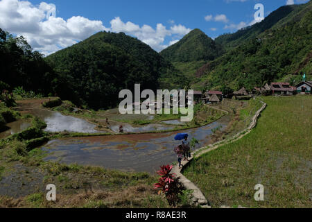 Vista dei terrazzi di riso e la cordigliera Banga-An il villaggio del popolo Ifugao, iscritto nella Lista del Patrimonio Mondiale dell'UNESCO situato nell'isola di Luzon nelle Filippine, Foto Stock