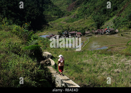 Vista dei terrazzi di riso e la cordigliera Banga-An il villaggio del popolo Ifugao, iscritto nella Lista del Patrimonio Mondiale dell'UNESCO situato nell'isola di Luzon nelle Filippine, Foto Stock
