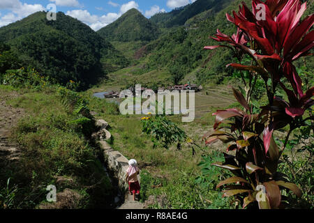 Vista dei terrazzi di riso e la cordigliera Banga-An il villaggio del popolo Ifugao, iscritto nella Lista del Patrimonio Mondiale dell'UNESCO situato nell'isola di Luzon nelle Filippine, Foto Stock