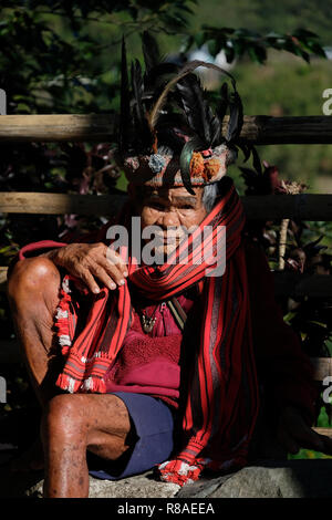 Un anziano uomo Ifugao indossare copricapo ornato con piume al Banaue terrazze di riso nel nord di Luzon, Filippine. In passato gli Ifugao noto anche come Ifugaw, Ipugao, Yfugao temevano erano cacciatori di teste, così come altre tribù delle regioni montuose del Luzon del nord. Foto Stock