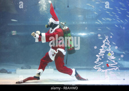 Seoul, Corea del Sud e Corea del Sud. Xiv Dic, 2018. Dic 14, 2018-Seoul, Corea del Sud-un subacqueo che indossa Santa Claus costume nuota nel serbatoio in Acquario COEX in Seoul, Corea del Sud. Credito: Ryu Seung-Il/ZUMA filo/Alamy Live News Foto Stock