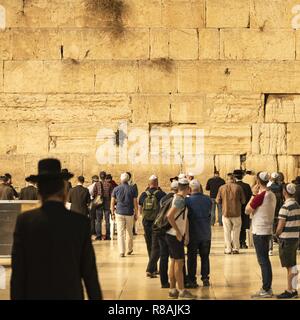 Gerusalemme, Israele. 31 ott 2018. Gli ebrei ortodossi hanno per condividere il posto di fronte al Muro Occidentale di Gerusalemme con turisti provenienti da tutto il mondo. (31 ottobre 2018) | utilizzo del credito in tutto il mondo: dpa/Alamy Live News Foto Stock