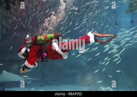 Seoul, Corea del Sud. Xiv Dic, 2018. Un subacqueo che indossa Santa Claus costume nuota nel serbatoio in Acquario COEX in Seoul, Corea del Sud. Credito: Ryu Seung-Il/ZUMA filo/Alamy Live News Foto Stock