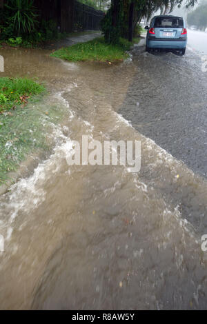 Cairns, Australia, 15 dic 2018. Primi temporali dal ciclone tropicale Owen hanno localizzato causato allagamenti nel lontano Nord Queensland. Acque alluvionali in Mayers Street nel quartiere di bordo Hill, Cairns, Queensland, Australia. Credito: Suzanne lunghe/Alamy Live News Foto Stock