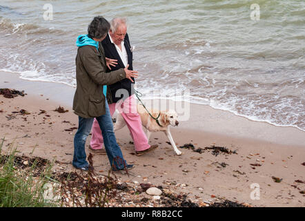 Genere misto anziana coppia avente una animata conversazione mentre si cammina un cane sulla spiaggia di Fort Victoria, Isle of Wight, Regno Unito Foto Stock