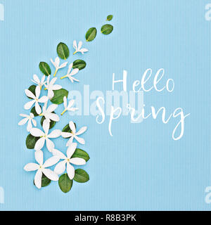 Primavera composizione floreale su sfondo blu con testo Ciao molla. Appartamento laico, vista dall'alto, formato quadrato Foto Stock