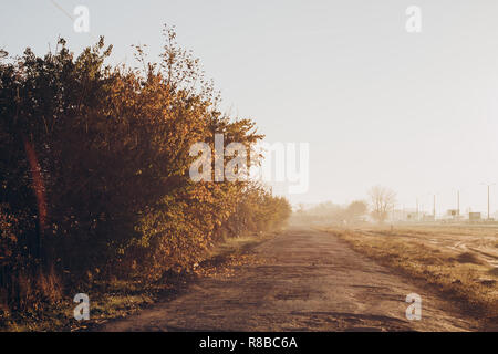 La strada conduce attraverso la campagna. Inizio mattina di sole. Vista dall'auto. Foto Stock