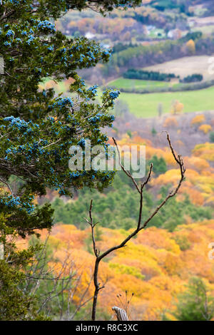 Sinfonia colorata con gli alberi e il paesaggio Foto Stock