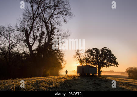 Un uomo solitario stagliano contro il sorgere del sole su una bella inverni nebbioso giorno nella campagna inglese. Foto Stock