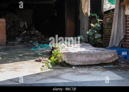 Abbandonato usurato interno di un vecchio club con pareti in mattoni rossi pieno di immondizia con un vile fatiscenti materasso sul pavimento con l'impianto sopra di esso. Sun paglierino Foto Stock