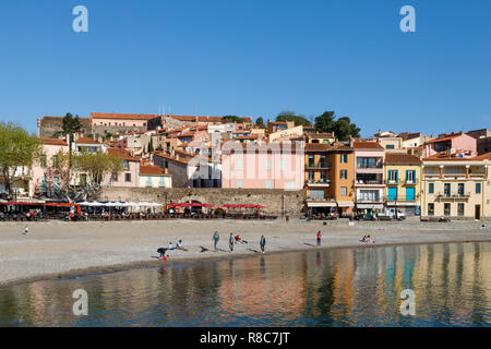 Francia, Pirenei orientali, Cote Vermeille, Collioure, Boramar spiaggia // Francia, Pyrénées-Orientales (66), Côte Vermeille, Collioure, plage Boramar Foto Stock