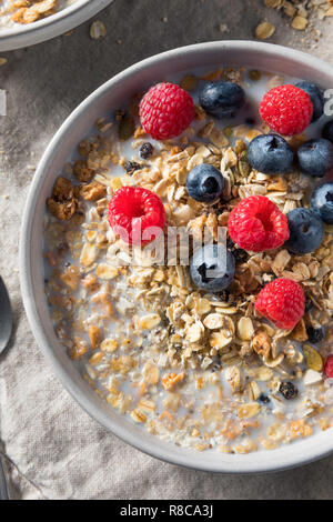 Un sano muesli fatti in casa prima colazione a base di cereali con latte e frutti di bosco Foto Stock