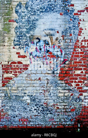 Street Art, la Regina di un muro di mattoni, Lime street, Walker, Newcastle upon Tyne, Engand Foto Stock