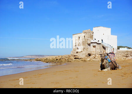 Sidi Kaouki beach, surf posto, Marocco, Africa Foto Stock