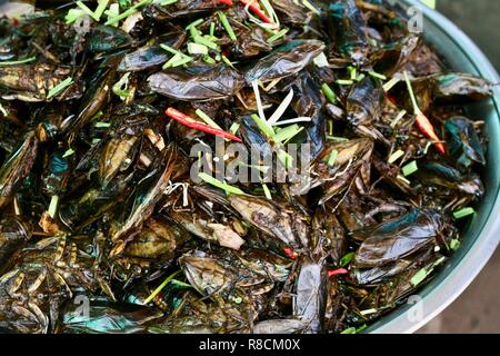 Fritte scarafaggi, tra altri insetti come un cibo di strada nella città di ragno Cambogia per la vendita come snack Foto Stock