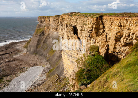 Instabile scogliera attorno a collassare nel Giurassico lias scogliere calcaree del Glamorgan Heritage Coast nel South Wales UK Foto Stock