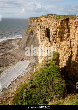 Instabile scogliera attorno a collassare nel Giurassico lias scogliere calcaree del Glamorgan Heritage Coast nel South Wales UK Foto Stock