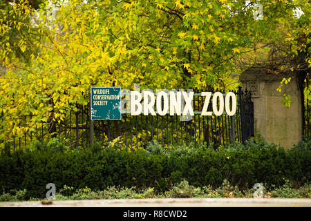 Bronx Zoo segno con bellissimi alberi in background, New York Manhattan. Foto Stock