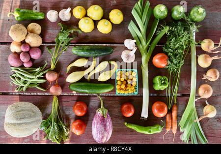 Mangiare sano sullo sfondo di verdure, porri e carote, squash, melanzana, frutta, muskmelon e pomodori, disposti su legno Tavolo picnic. Vista superiore Foto Stock