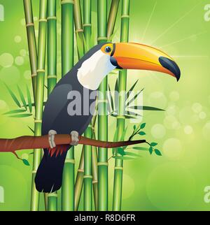 Toucan bird e bambù verde nasce nel design piatto illustrazione. Illustrazione Vettoriale