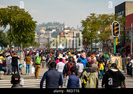 Pellegrini in cammino verso la Basilica di Nostra Signora di Guadalupe a Città del Messico Foto Stock