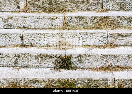 Passi antichi fatti di pietra con erba crescente verso l'esterno nelle giunzioni tra le pietre. Foto Stock