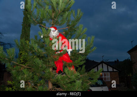 Fantoccio di Babbo Natale in un albero in un giardino frontale Foto Stock