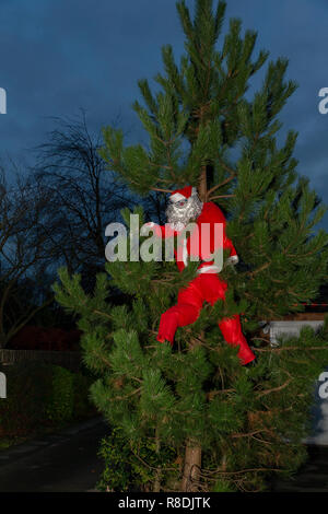 Fantoccio di Babbo Natale in un albero in un giardino frontale Foto Stock