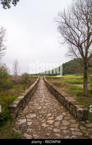 Vecchio ponte di Avino, Catalogna, Spagna Foto Stock