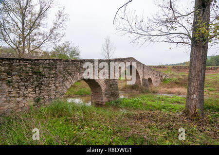 Vecchio ponte di Avino, Catalogna, Spagna Foto Stock