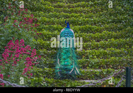 Madrid, Spagna - Campo del Moro è uno dei numerosi parchi e giardini della capitale spagnola. Qui in particolare la sua famosa pavoni Foto Stock