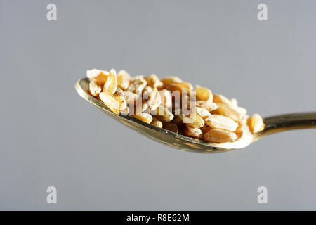 Kernel verde è la grana della scritto, che viene raccolto semi maturi e quindi asciugati artificialmente Foto Stock