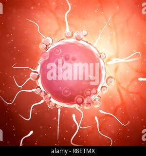 Illustrazione di spermi attorno ad una cellula uovo. Foto Stock
