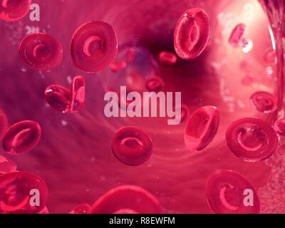 Illustrazione di cellule del sangue umano. Foto Stock