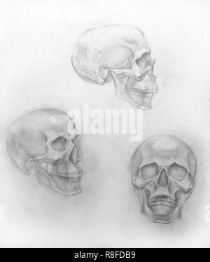 Disegno accademico matita, formazione figura ancora la vita a mano Foto Stock