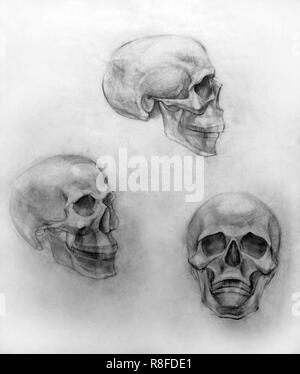 Disegno accademico matita, formazione figura ancora la vita a mano Foto Stock