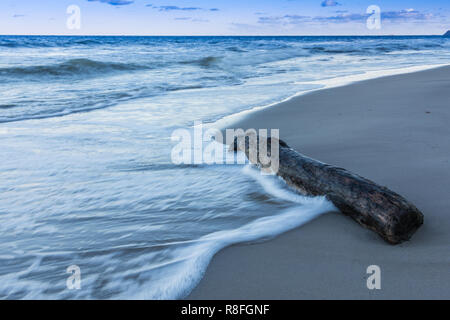 Vecchio filamento tronco di legno sulla spiaggia di sabbia di onde di luce sul mar Baltico con le nubi all'orizzonte Foto Stock