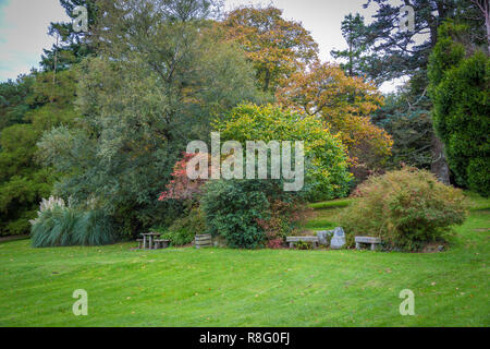 Tour a Piedi di Tollymore Forrest Park, Newcastle, Co Down, Irlanda del Nord Foto Stock