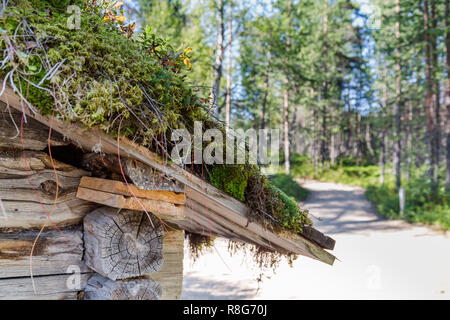 Sami tradizionali loghouse con il tetto verde in Lapponia Foto Stock