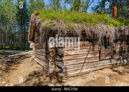 Sami tradizionali loghouse con il tetto verde in Lapponia Foto Stock