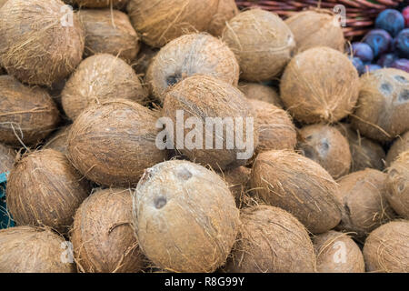 Gruppo di piccole fresco intero di noci di cocco marrone sul mercato al dettaglio. Foto Stock