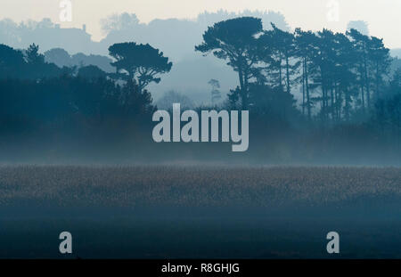 Villaggio Titchwell e chiesa West NORFOLK REGNO UNITO Dicembre Foto Stock