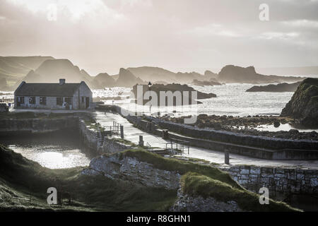 Ballintoy Harbour, Ballycastle, County Antrim, Irlanda del Nord Foto Stock