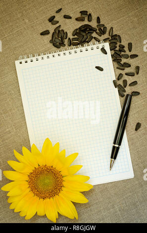 Girasole, notebook e penna su tela lo sfondo Foto Stock